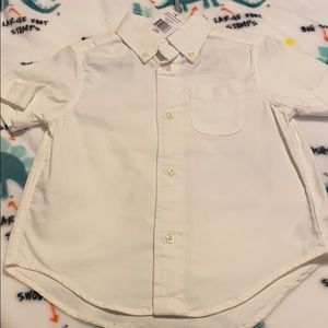 New Polo Ralph Lauren-White Collar Shirt